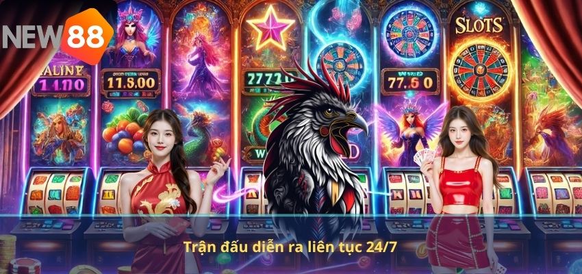 Trận đấu diễn ra liên tục 24/7